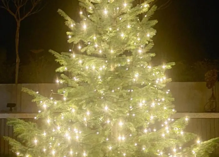 بيت للعطل Landbruecke غروسشوناو